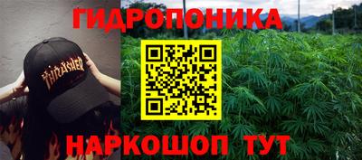 хмурый Бердск