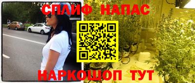 хмурый Бердск