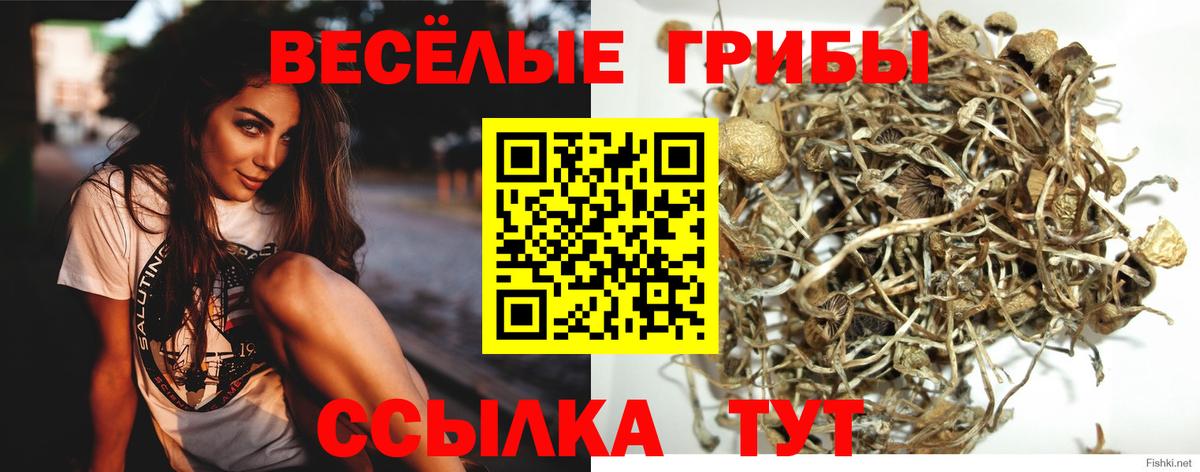 Псилоцибиновые грибы мухоморы  Вход с VPN  Серов 