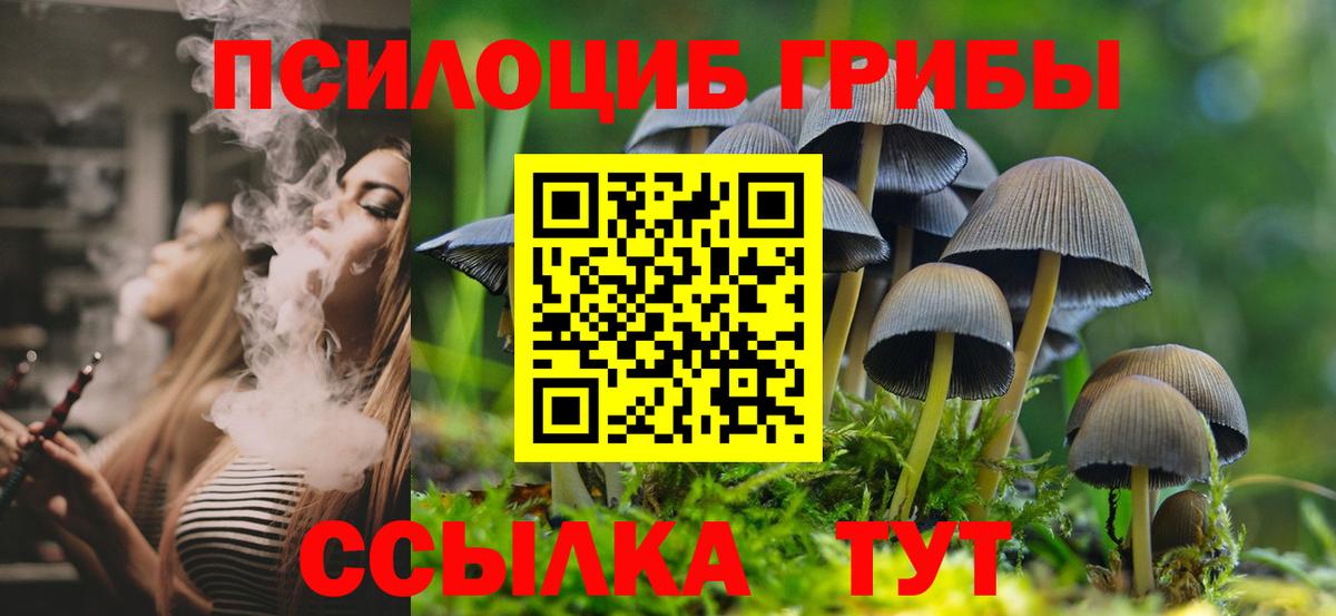 Псилоцибиновые грибы Magic Shrooms Серов